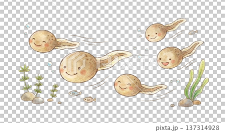 おたまじゃくしがスイスイ 137314928