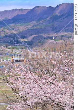 名胡桃城址からの眺め 満開の桜 集落と三峰山 群馬県みなかみ町 名胡桃城址からの眺め 満開の桜 集落と三峰山 群馬県みなかみ町 137314944