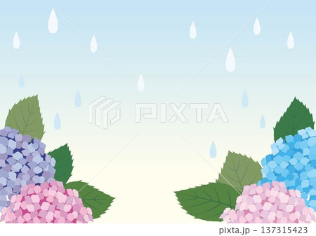 日本の梅雨：雨に濡れるあじさいのフレーム。6月の季節行事、雨の日、初夏のイメージ背景 137315423