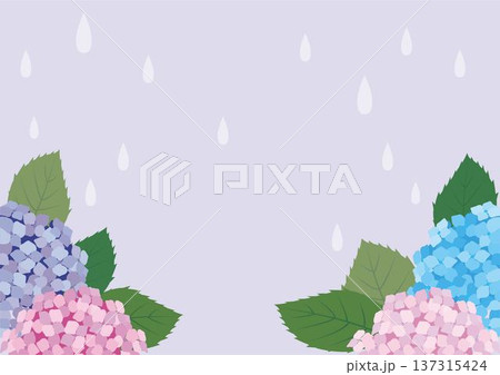 日本の梅雨:雨に濡れるあじさいのフレーム。6月の季節行事、雨の日、初夏のイメージ背景 日本の梅雨:雨に濡れるあじさいのフレーム。6月の季節行事、雨の日、初夏のイメージ背景 137315424