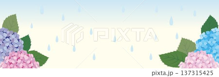 日本の梅雨:雨に濡れるあじさいのフレーム。6月の季節行事、雨の日、初夏のイメージ背景 日本の梅雨:雨に濡れるあじさいのフレーム。6月の季節行事、雨の日、初夏のイメージ背景 137315425