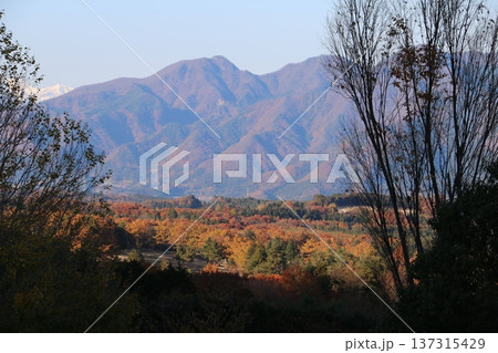 伊香保の地法水寺境内から見える秋景色 137315429