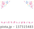 ムラのある手描き水彩の桜と花びらの白い背景-横型 137315483