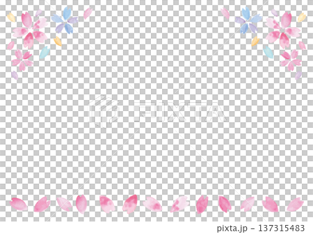 ムラのある手描き水彩の桜と花びらの白い背景-横型 137315483