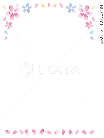 ムラのある手描き水彩の桜と花びらの白い背景-縦型 ムラのある手描き水彩の桜と花びらの白い背景-縦型 137315484