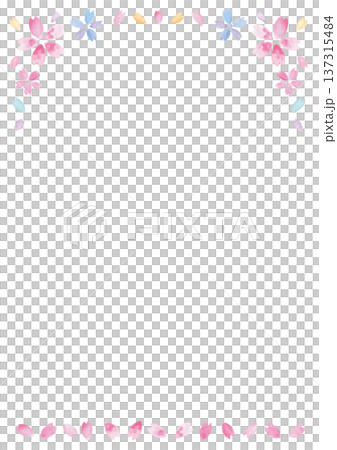 ムラのある手描き水彩の桜と花びらの白い背景-縦型 ムラのある手描き水彩の桜と花びらの白い背景-縦型 137315484