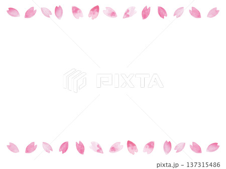 ムラのある手描き水彩の桜の花びらの白い背景 ムラのある手描き水彩の桜の花びらの白い背景 137315486