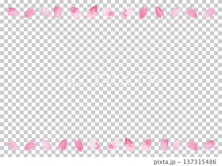 ムラのある手描き水彩の桜の花びらの白い背景 ムラのある手描き水彩の桜の花びらの白い背景 137315486