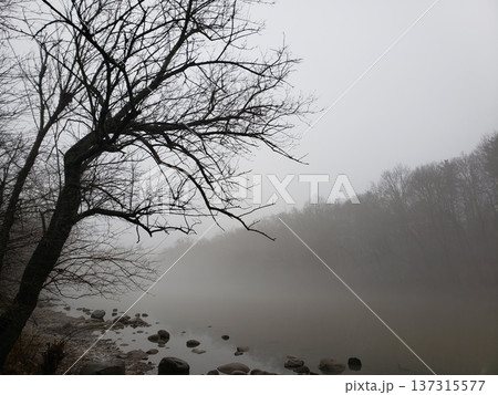 Fog Over the Scioto River in Late Winter, Scioto Park, Dublin, Ohio Fog Over the Scioto River in Late Winter, Scioto Park, Dublin, Ohio 137315577