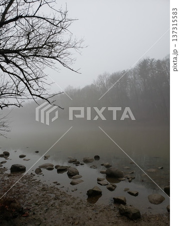 Fog Over the Scioto River in Late Winter, Scioto Park, Dublin, Ohio Fog Over the Scioto River in Late Winter, Scioto Park, Dublin, Ohio 137315583