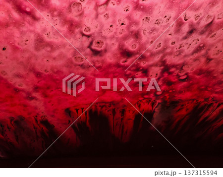 Looking at a Soapy Windshield from Inside a Car in a Carwash with Colored Lighting Looking at a Soapy Windshield from Inside a Car in a Carwash with Colored Lighting 137315594