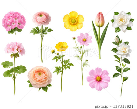 set of colorful flowers 137315921