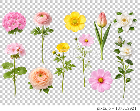 set of colorful flowers 137315921