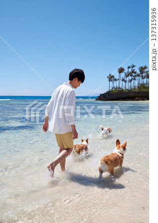 海辺を歩く男性とコーギーの散歩 137315936