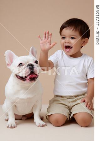 フレンチブルドッグと子供のハイタッチ遊び フレンチブルドッグと子供のハイタッチ遊び 137315998