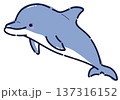 ジャンプするバンドウイルカのイラスト 137316152