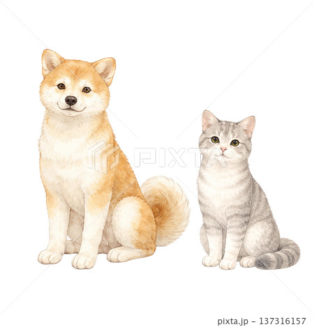 猫と柴犬 水彩イラスト 仲良しペット 動物素材 137316157
