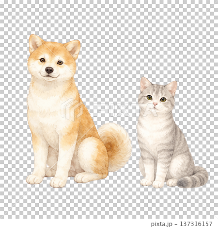 猫と柴犬 水彩イラスト 仲良しペット 動物素材 137316157