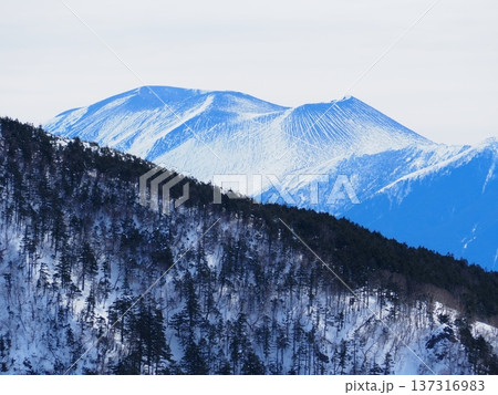 根子岳から四阿山越しに見る浅間山(20260220112525) 根子岳から四阿山越しに見る浅間山(20260220112525) 137316983