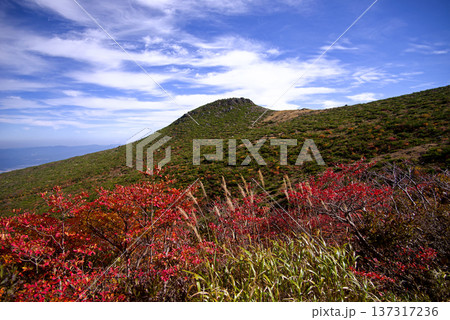 福島県、安達太良山の登山道からの紅葉。赤く染まった紅葉が見事で、青空に印象的で綺麗だ。 137317236
