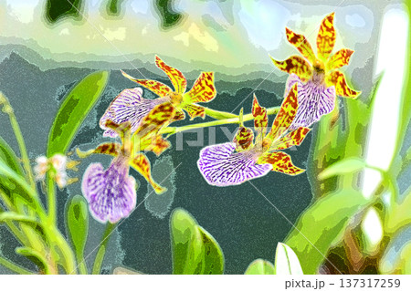 ランの花咲く癒しの窓辺 ランの花咲く癒しの窓辺 137317259