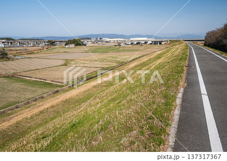 京奈和自転車道と川沿いの田園風景　京都府京田辺市 137317367