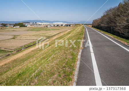 京奈和自転車道と川沿いの田園風景　京都府京田辺市 137317368