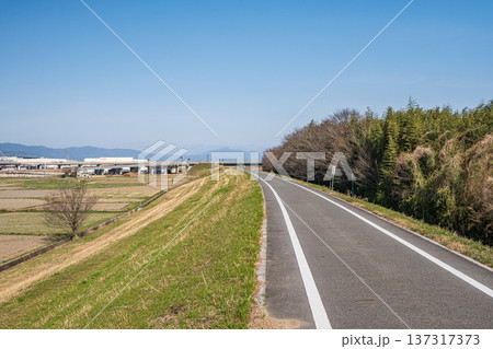 木津川の堤防の上のサイクリングロード 京奈和自転車道 京都府京田辺市 木津川の堤防の上のサイクリングロード 京奈和自転車道 京都府京田辺市 137317373
