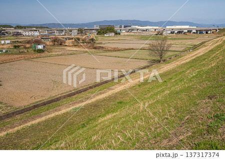 春の田園風景　京都府京田辺市 137317374
