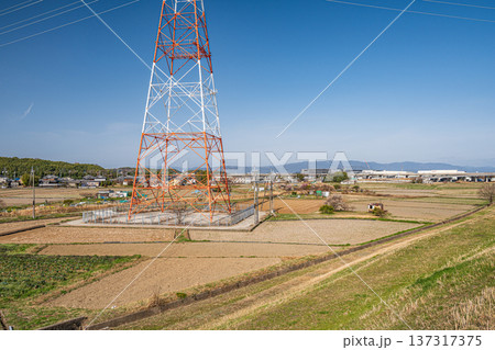 春の田園風景　京都府京田辺市 137317375
