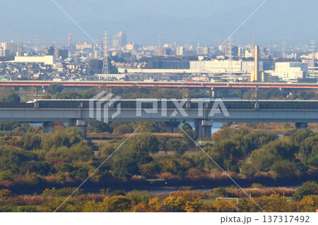 戸田橋を渡る東北新幹線を行く緑帯E2系 137317492