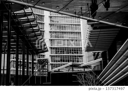 都市風景モノクロ写真 137317497