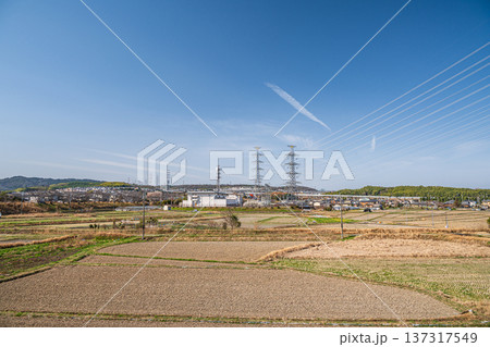 春の田園風景 京都府京田辺市 春の田園風景 京都府京田辺市 137317549
