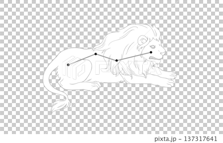 Monochrome illustration of Leo Minor (picture of a small lion and constellation lines) Monochrome illustration of Leo Minor (picture of a small lion and constellation lines) 137317641