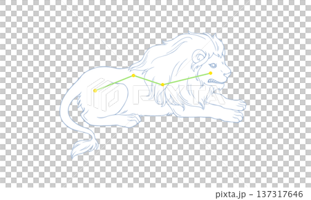 Color illustration of Leo Minor (picture of the little lion and constellation lines) Color illustration of Leo Minor (picture of the little lion and constellation lines) 137317646