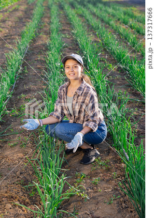 Young woman harvesting onions in field Young woman harvesting onions in field 137317666