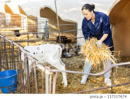 woman farmer puts straw in a stall 137317674