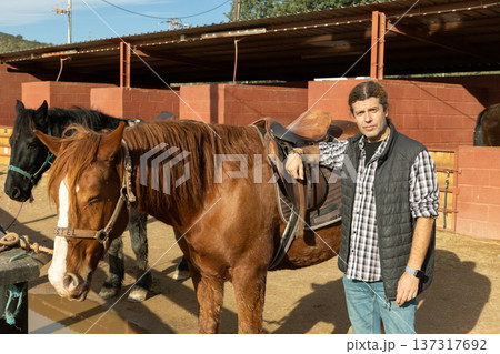 Skilled middle-aged male stable keeper checking saddle on brown horse for riding in yard of stables 137317692