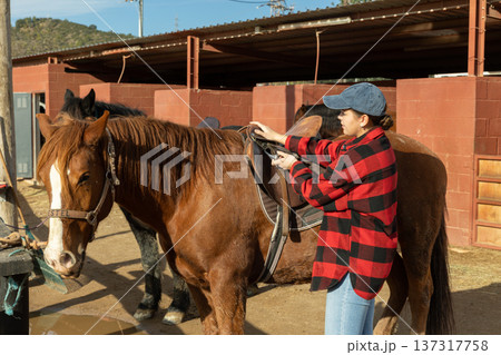 Caring young female stable keeper checking saddle on brown horse for riding in yard of stables Caring young female stable keeper checking saddle on brown horse for riding in yard of stables 137317758