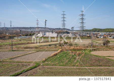 春の田園風景　京都府京田辺市 137317841