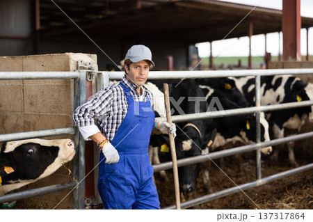 Adult male farmer posing while feeding cows at farm Adult male farmer posing while feeding cows at farm 137317864
