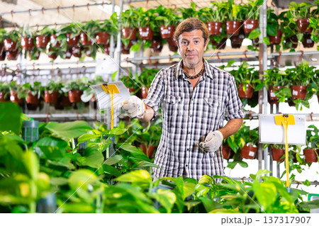Man posing with pothos tutor plant at flower shop Man posing with pothos tutor plant at flower shop 137317907