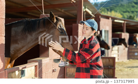 Caring young European woman in plaid shirt cleaning and grooming purebreed horse with brushes in countryside club 137317995