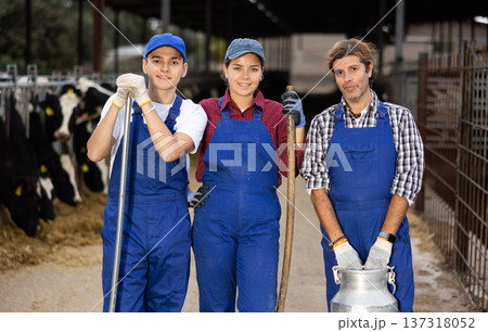Man woman and boy farmers posing at dairy farm Man woman and boy farmers posing at dairy farm 137318052