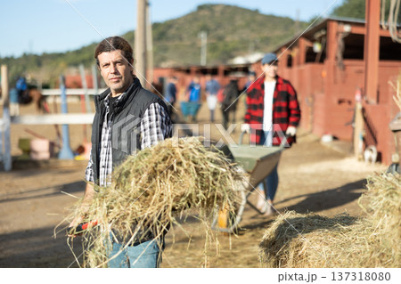 Confident middle-aged man holding pile of hay on pitchfork for feeding horses on farm Confident middle-aged man holding pile of hay on pitchfork for feeding horses on farm 137318080