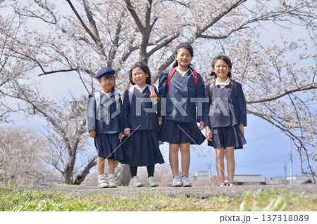 小学校に入学する新一年生と生徒 137318089