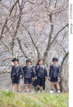 小学校に入学する新一年生 小学校に入学する新一年生 137318092