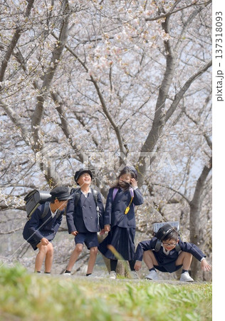 小学校に入学する新一年生 小学校に入学する新一年生 137318093