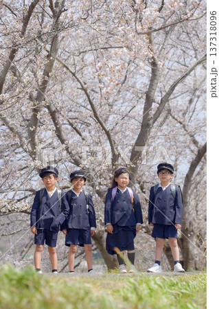 小学校に入学する新一年生 小学校に入学する新一年生 137318096