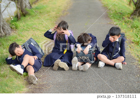 小学校、桜並木、下校途中 137318111